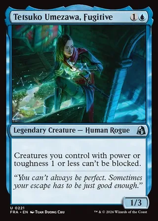 Tetsuko Umezawa, Fugitive card, FRA number 221